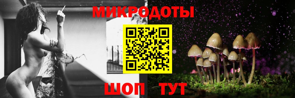Псилоцибиновые грибы Cubensis  Вход с VPN  Москва 